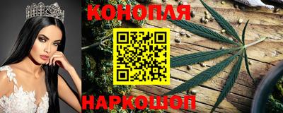 стаф Кунгур