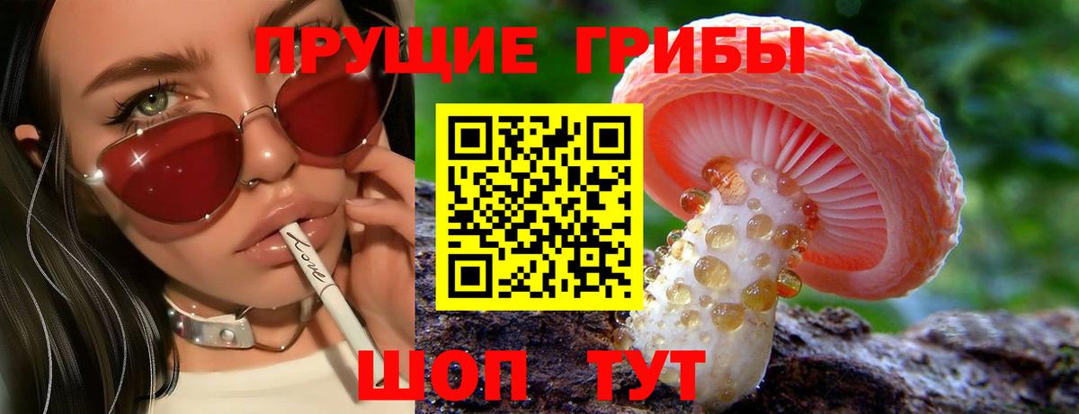Псилоцибиновые грибы GOLDEN TEACHER  что такое   Псилоцибиновые грибы мухоморы  Кирово-Чепецк  Вход с VPN 